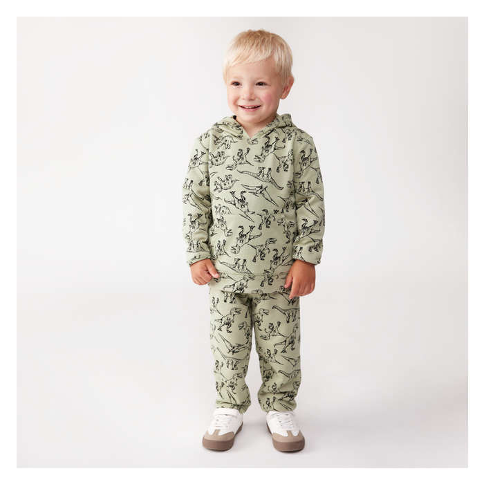 Toddler Boys' Terry Hoodie